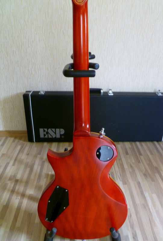 P1010231
