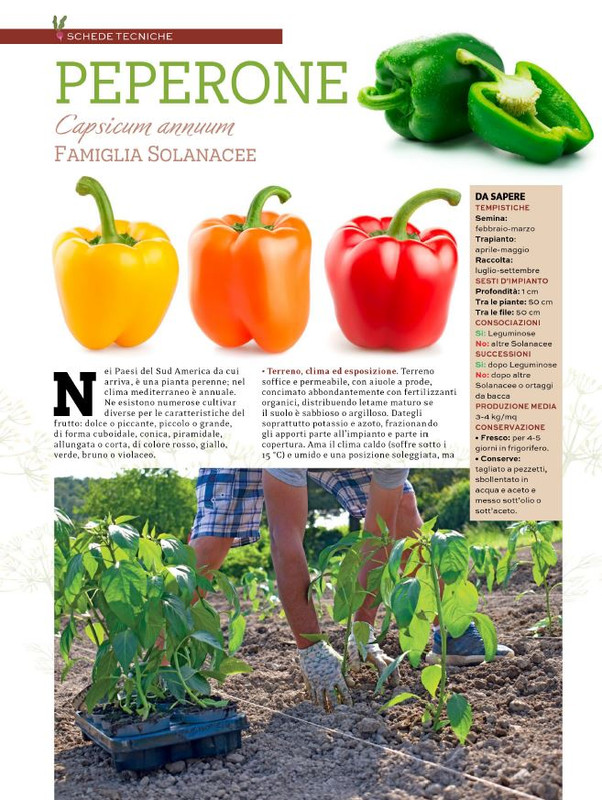 Orto Facile - Il Mio Orto Pratico - Feb-Mar 2024 (11)