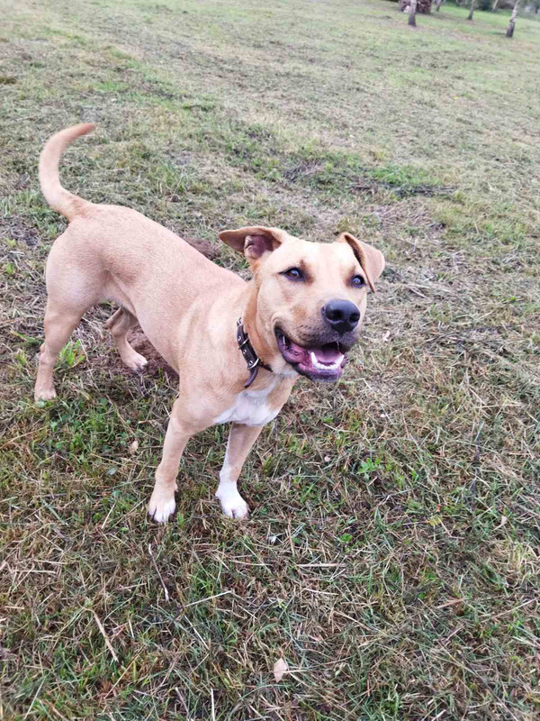 изображение_viber_2022-01-20_12-12-18-401