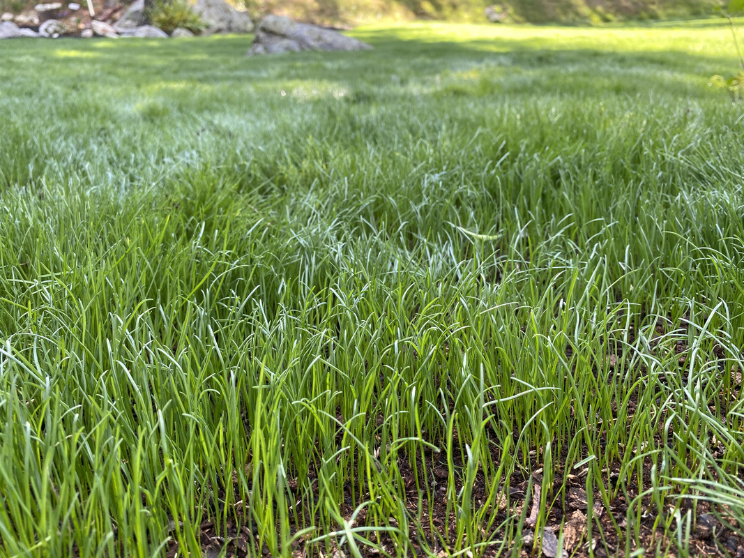 3B307C8D-9F6F-4C48-A536-E17951875794