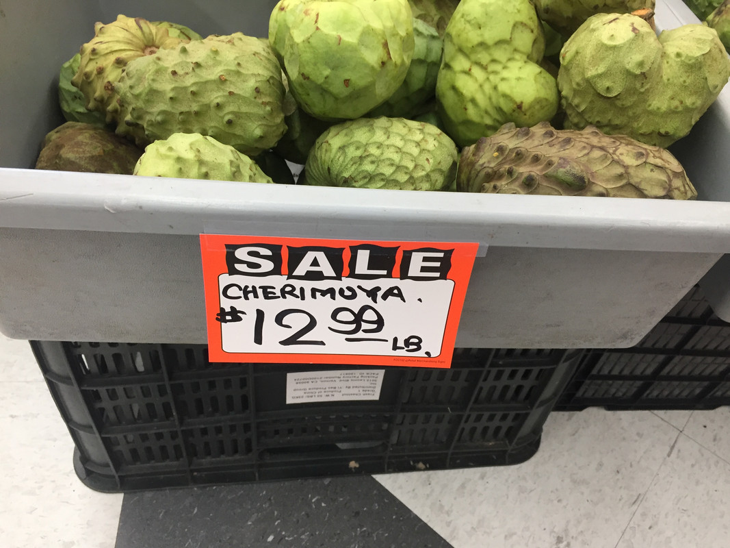 0FA9C1B9-9308-4822-8BEB-8370FB4A4A6B