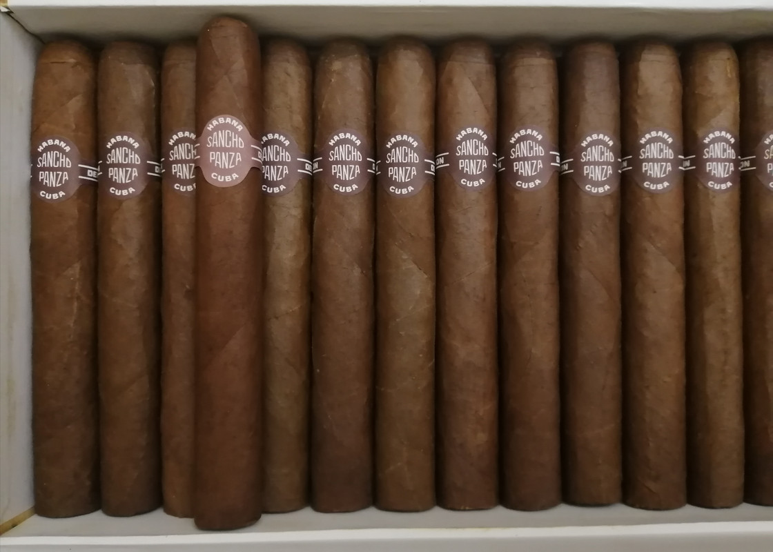 IMG_20240612_144604[1]