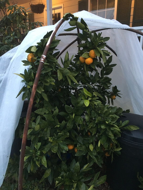 3E1EFDA9-098D-4051-A112-192B97B4A8F2