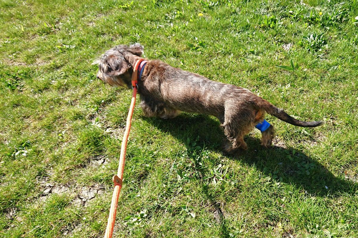 [Image: DSC-3760.jpg]