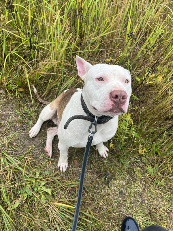 FE7E88BC-536B-4401-8A79-928963805BB6