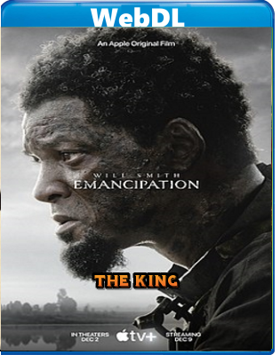 Emancipation-Oltre la libertá (2022) WEB-DL 1080p x264 E-AC3+AC3 ITA ENG-TK