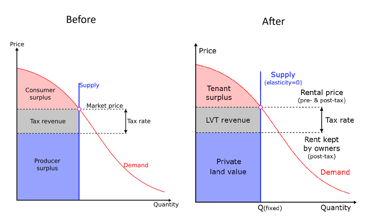 LVT before and after