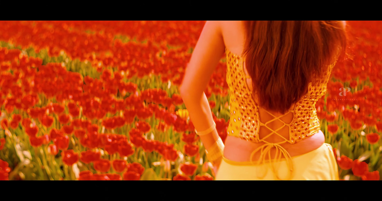 VideoCapture_20241122-200027