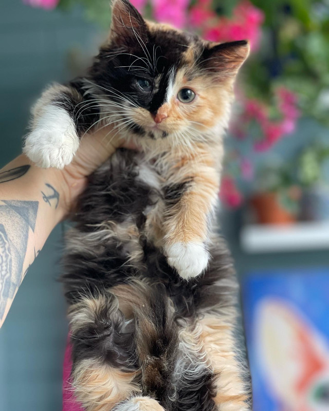 A1A830EE-8722-46A9-BA69-0A7C9BBF5A6D