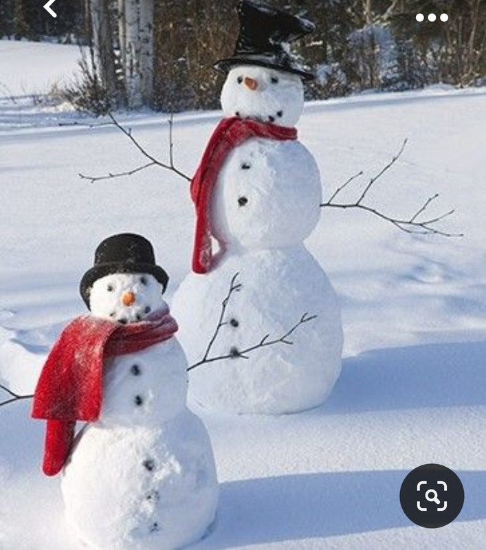 Screenshot_20231023_221556_Pinterest