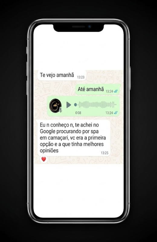 Cliente vindo do Google