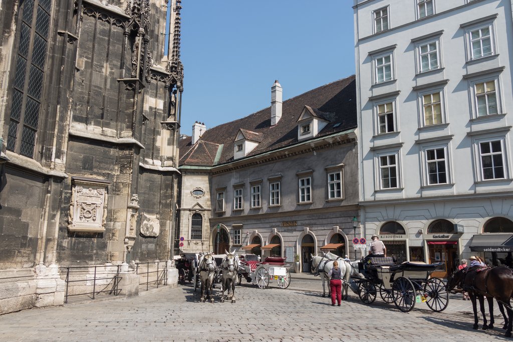 Austria y Bratislava - Blogs de Austria - VIENA (14 AGOSTO) (18)