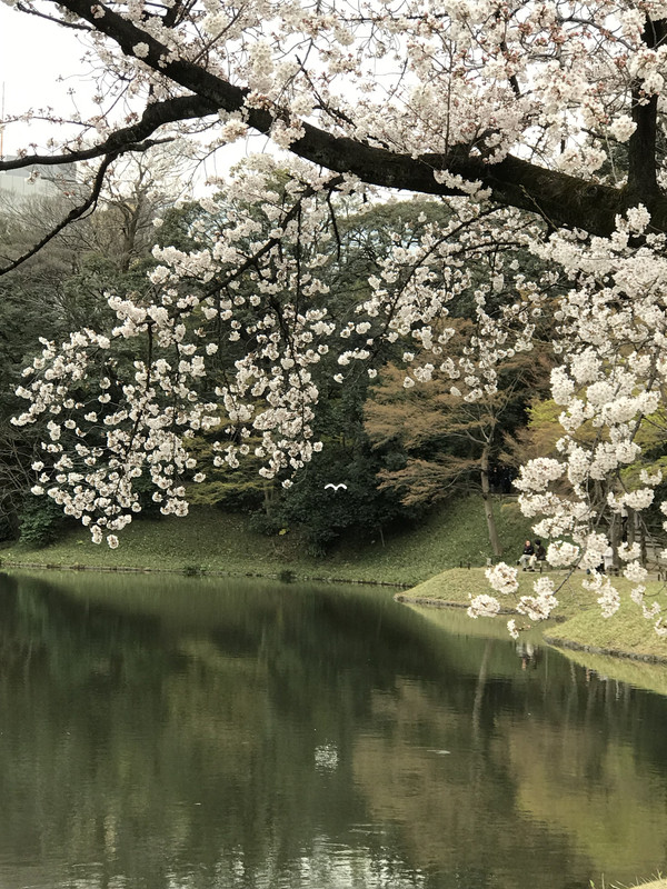 759E24A5-D9ED-467D-A4BA-33560627A5C3