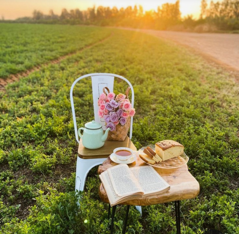 Screenshot_20230717_215347_Pinterest