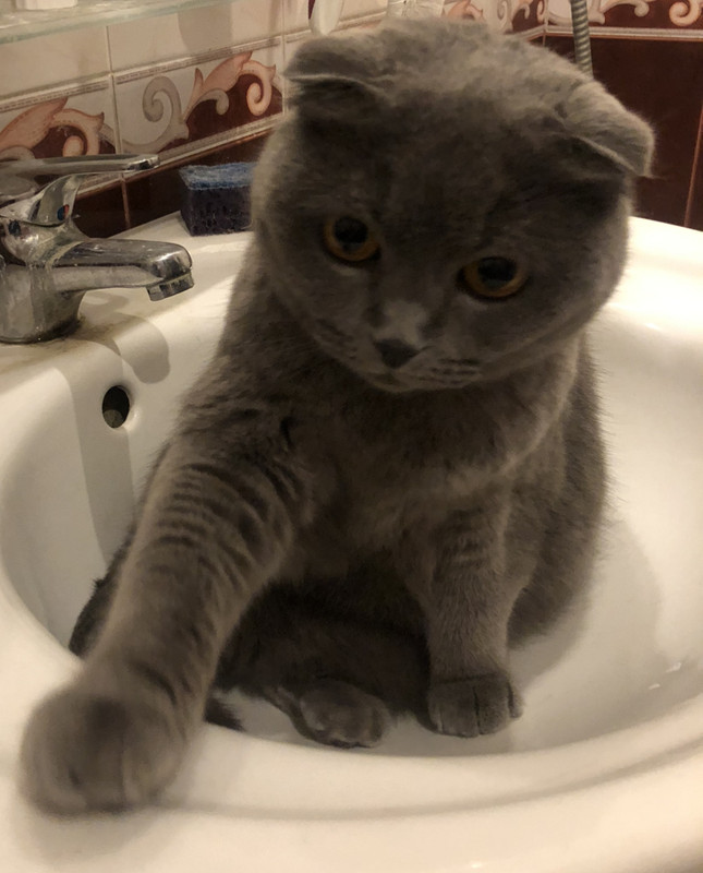 AA3A76A8-0FE7-45D3-A3CF-4B943B20D1F2