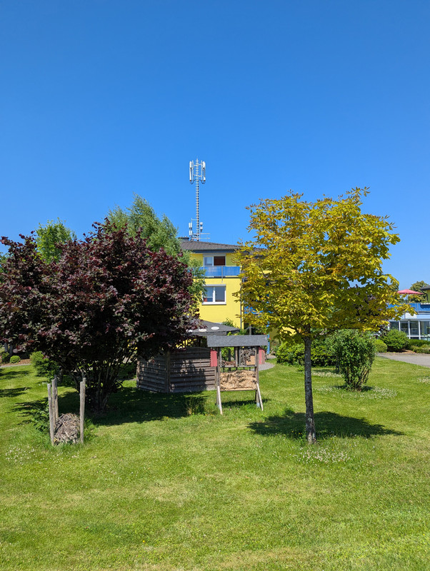 PXL_20250619_104156588