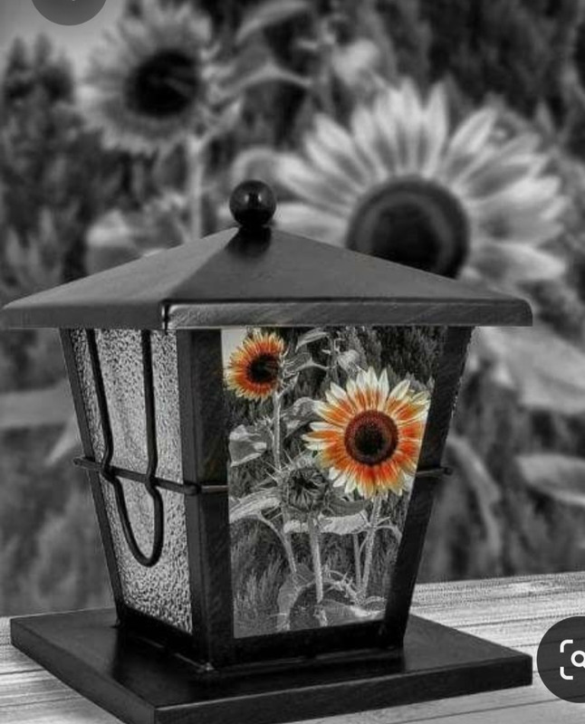 Screenshot_20230409_225226_Pinterest