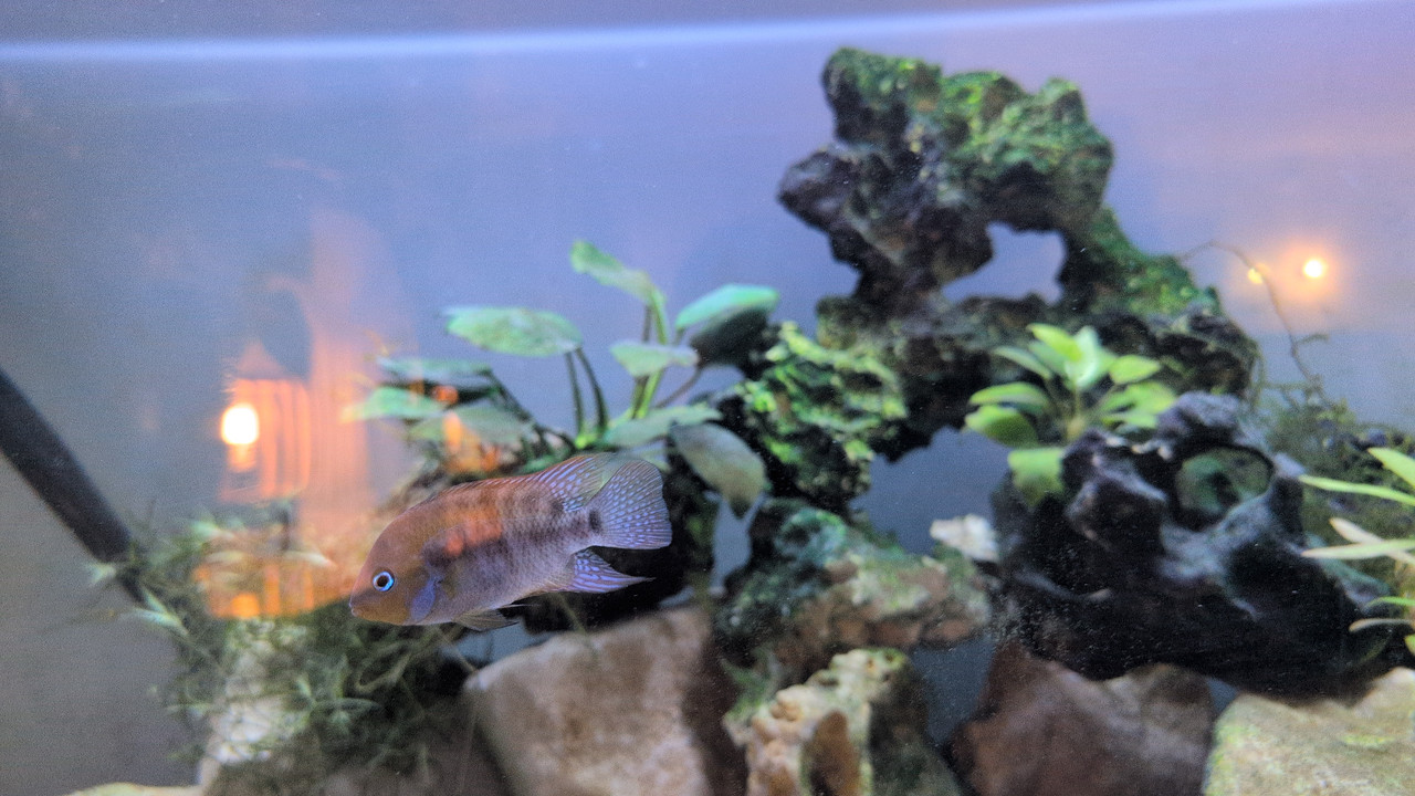 2025 11 1018 54 00151560273253237141