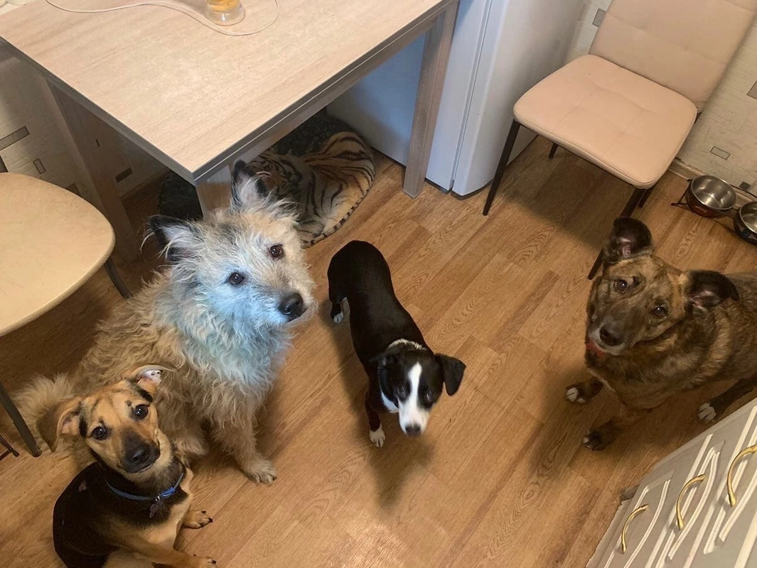 891BD275-FA13-4667-A720-0385687CA8B1