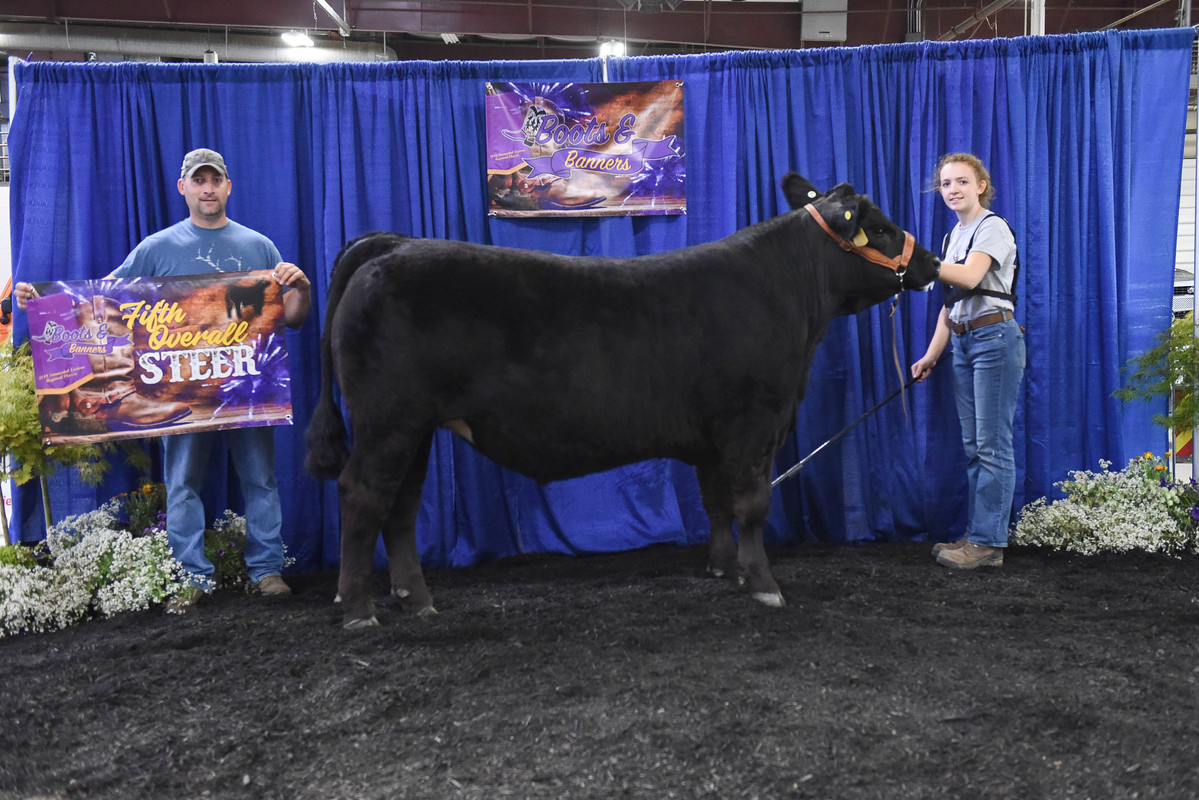 Sierra with Z3E Regional banner