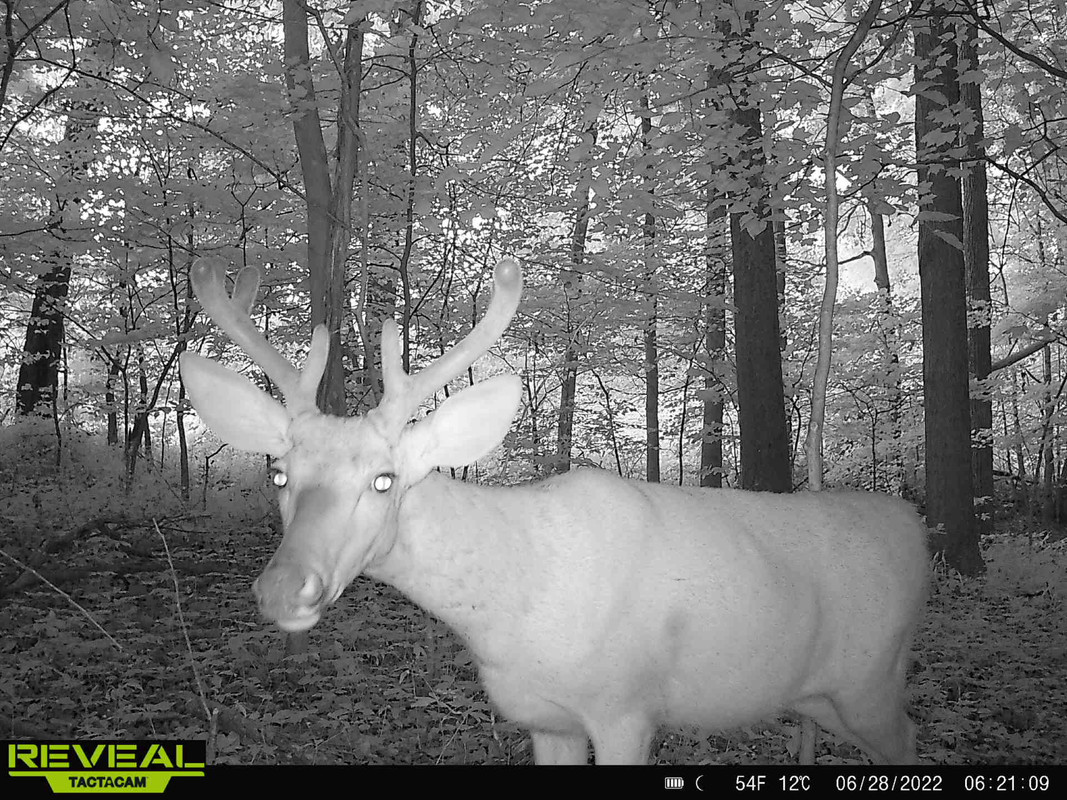 20BC8319-ADA9-4B80-9CF8-E3F1642CFAD0