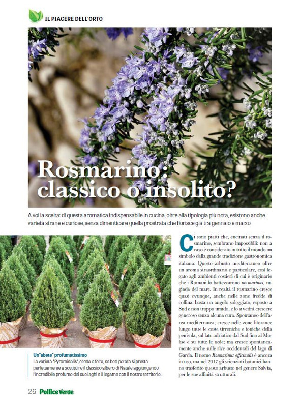 Pol Ver Dic 2024-Gen 2025 (5)