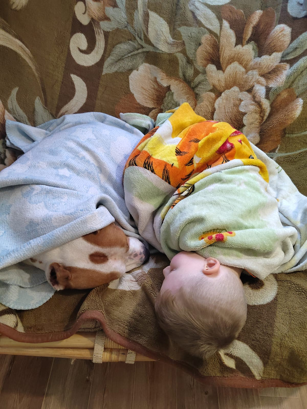 05B84006-7B02-409E-ABAC-437B3B670B87