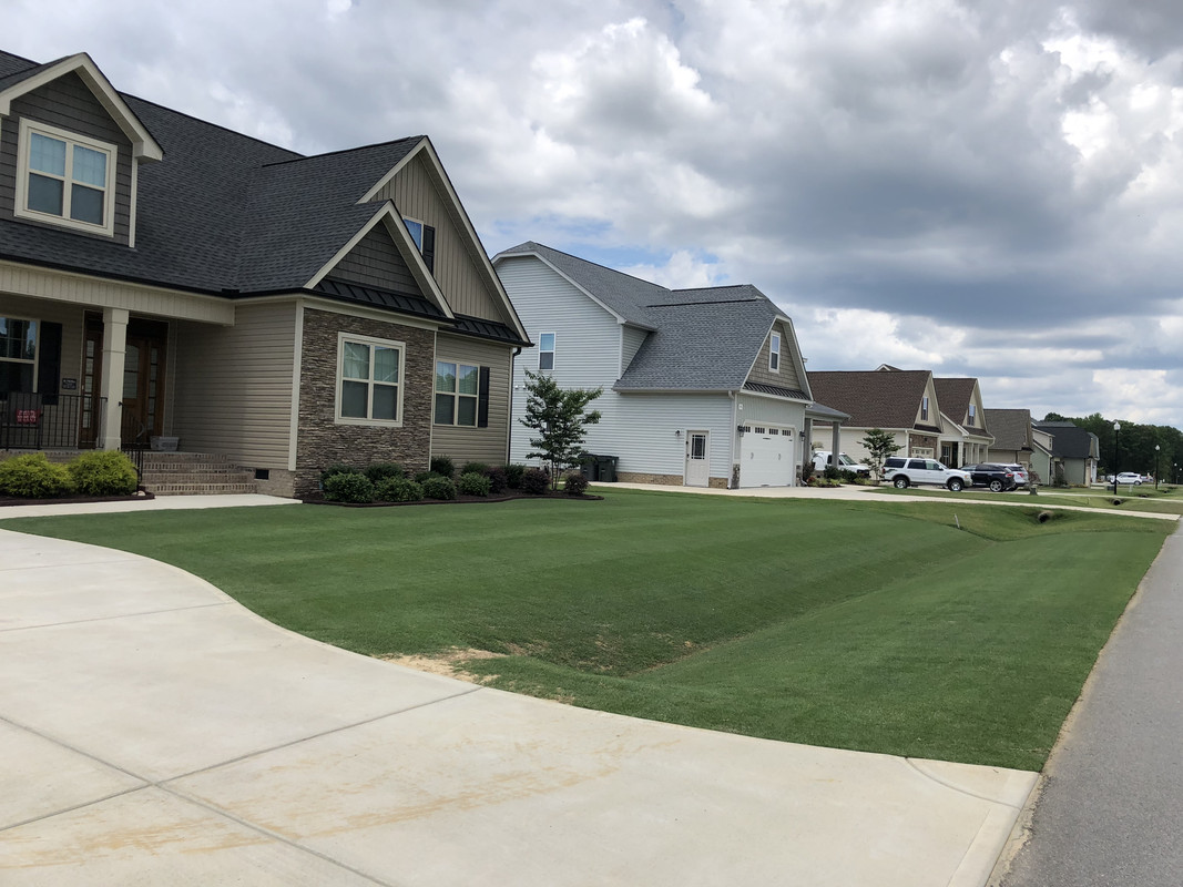 8597D727-1A4E-4E4A-86B0-70B9B1E9109D