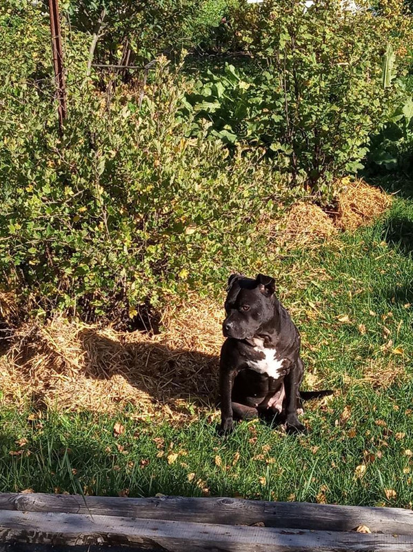 18D82A36-AE56-4775-86EC-4519EE9F89BD