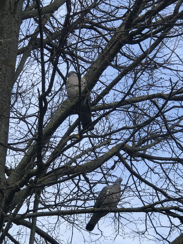 C0F102B4-7F22-4459-888D-4D0525847E5B