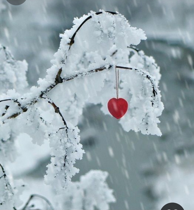 Screenshot_20240211_234739_Pinterest