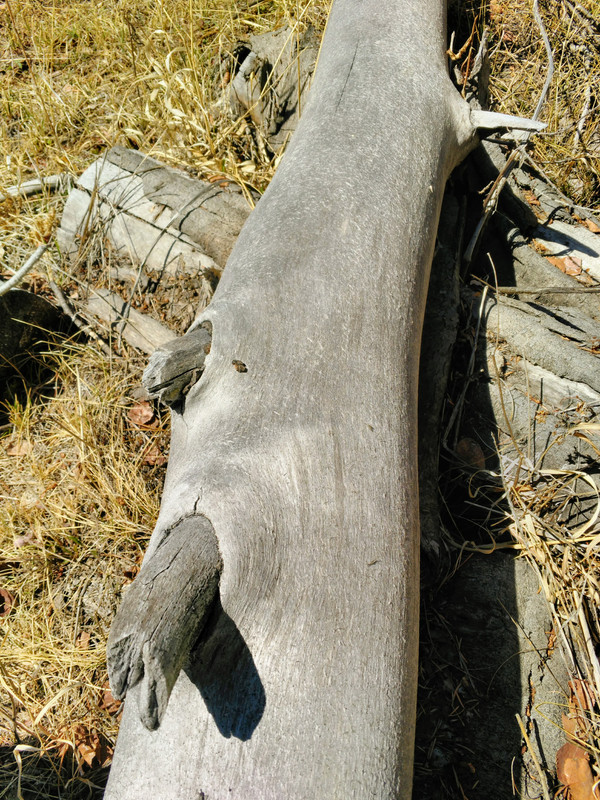 Easter 2019 Granite (11)