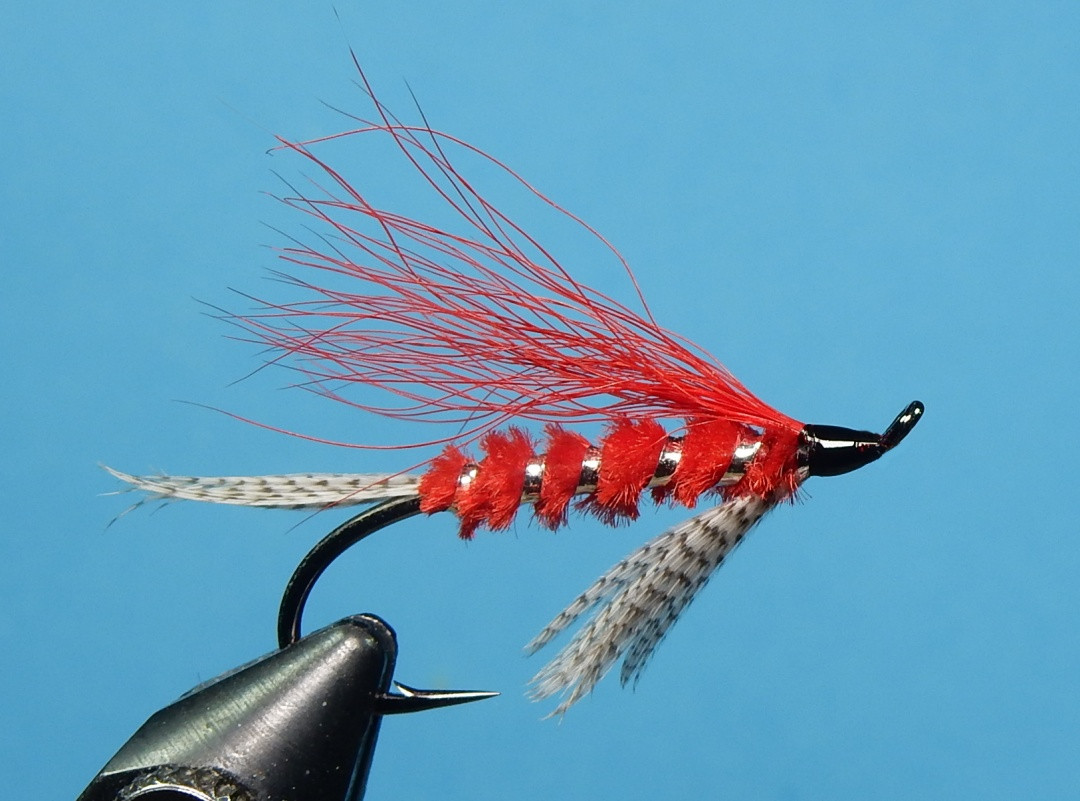 Umpqua-Red-Brat-1080.jpg