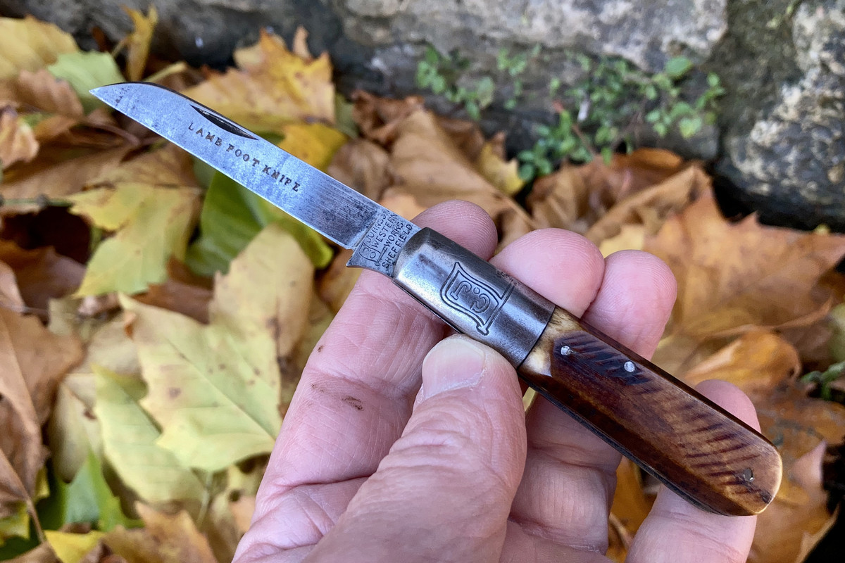 8FDBF9FD-D546-4DE4-BD31-4E1ABAFC89E3