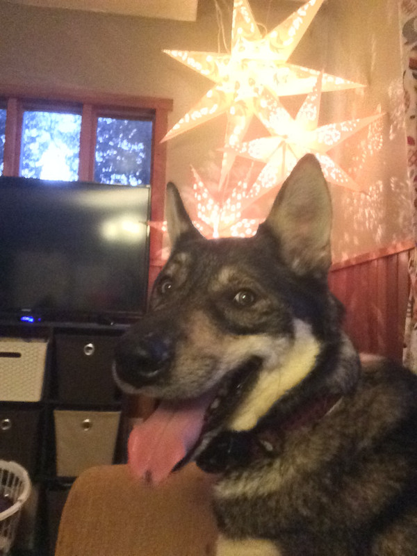 23A539EE-7AD3-41D1-931F-CB19106AE82A