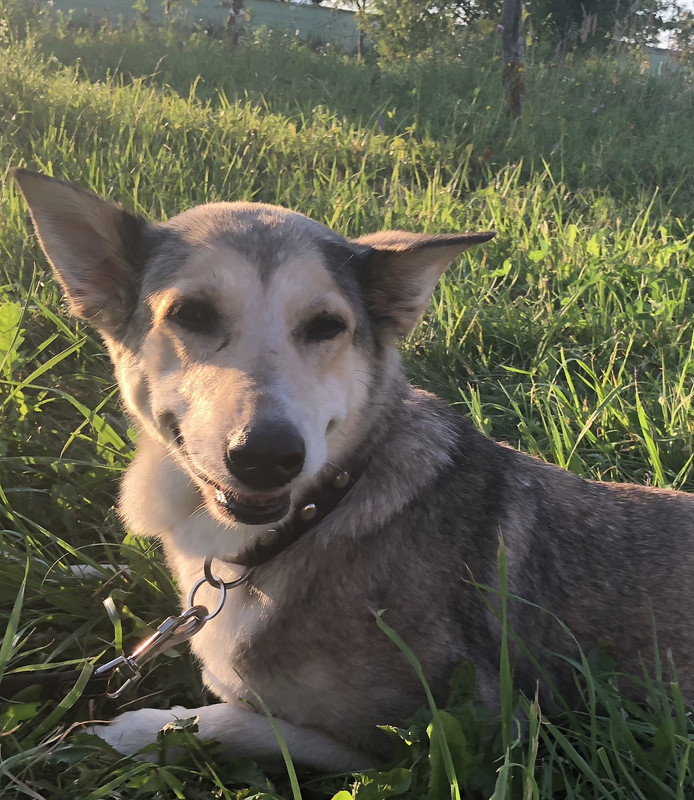 4F1FDCB1-4942-472E-92FC-7B44EDFA03F3