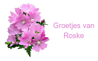hibiscus.png