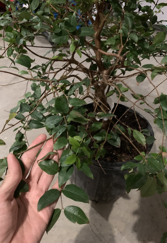 45C66090-2A69-41A8-821F-2BBDDEB44AC4