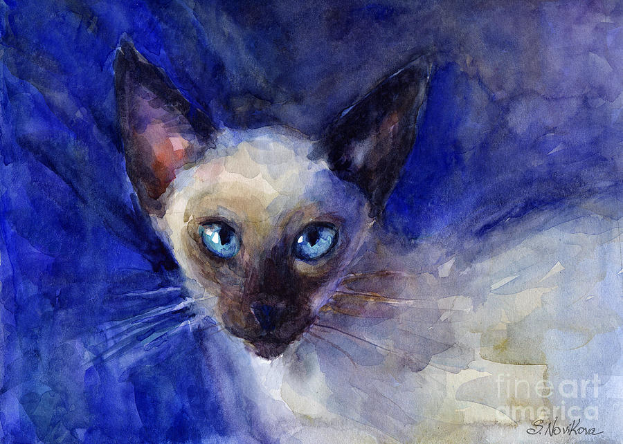 14-siamese-cat-svetlana-novikova