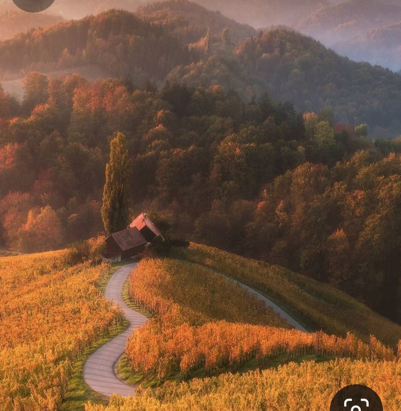 Screenshot_20231128_181808_Pinterest