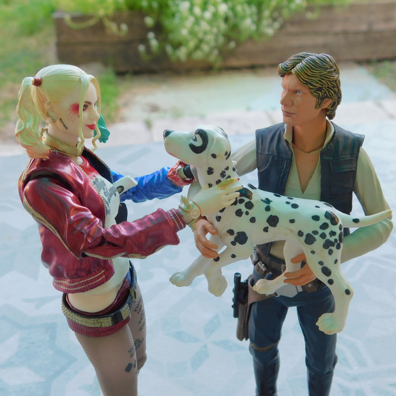 Дачно-Харлинский июнь-июль 2024 282