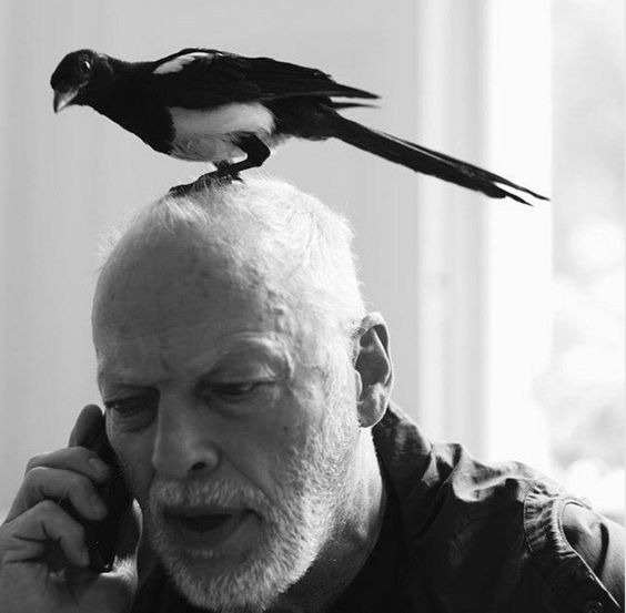 a7dcc20fb81b97c157436d5600c4cb2f