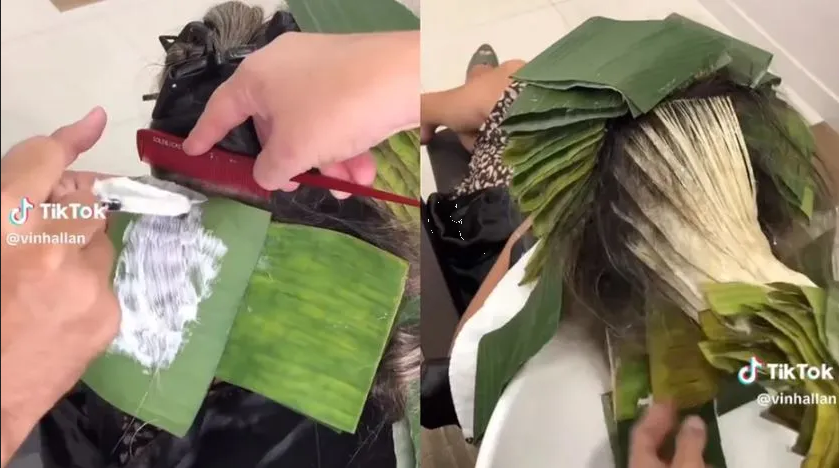 Decolora el cabello usando hojas de plátano en lugar de aluminio: Video viral