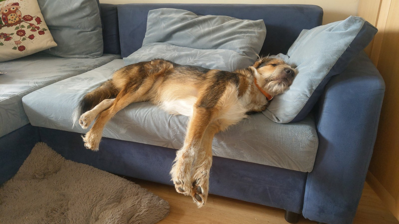 изображение_viber_2020-09-12_19-57-