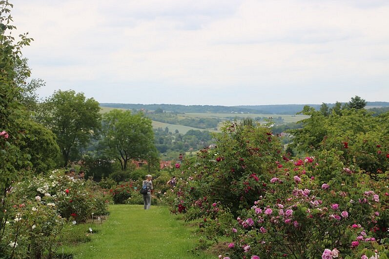 caption-1 Европейский Розарий в Зангерхаузене
