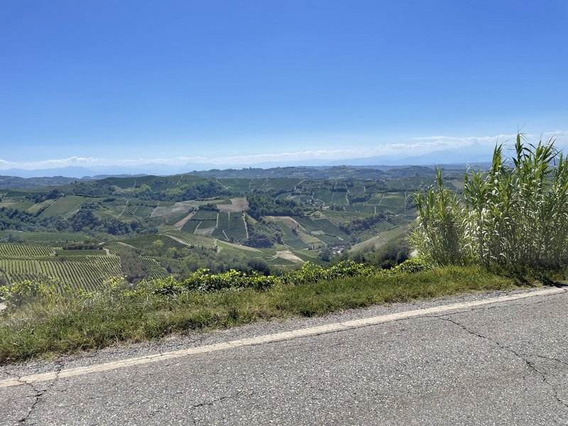 F54E426B-2D80-4FF8-9B99-80A9DE82708D