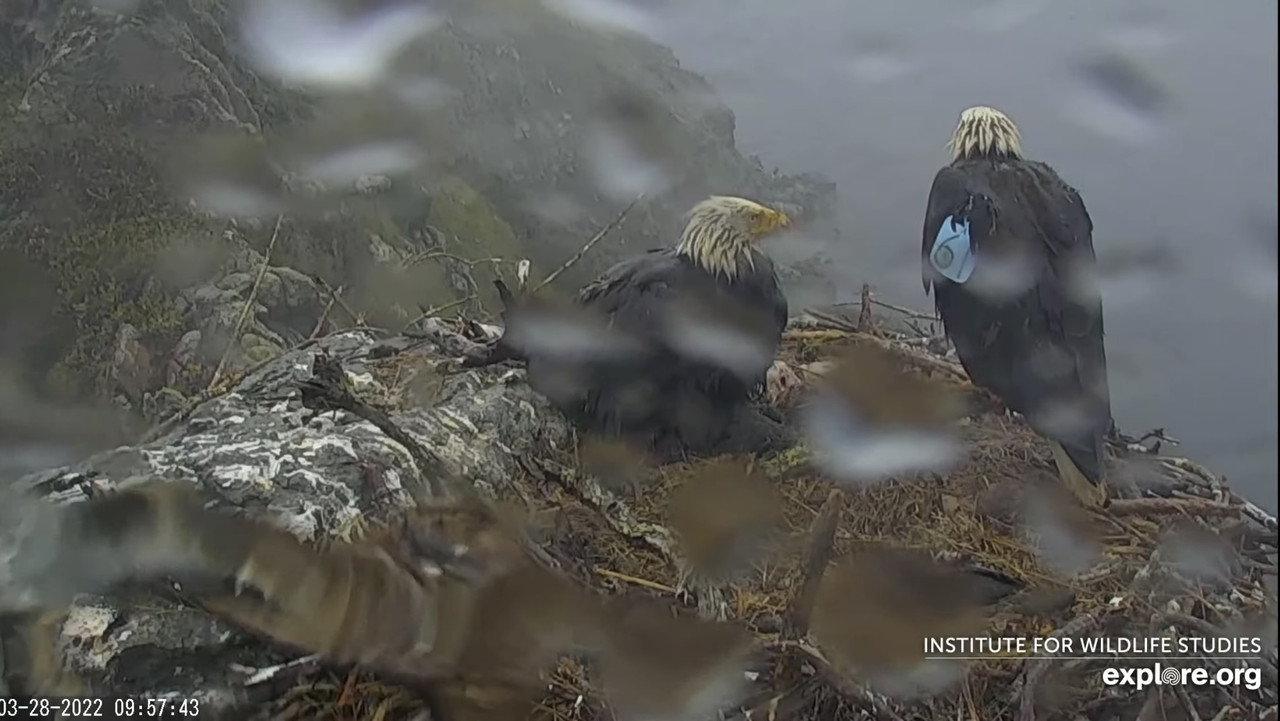 DCD8186D-9E00-484F-8FA5-C67B9CCCB029