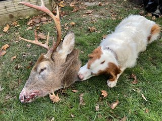 2AB6C98C-03D2-4B8A-A9A0-EE234ECD32AA