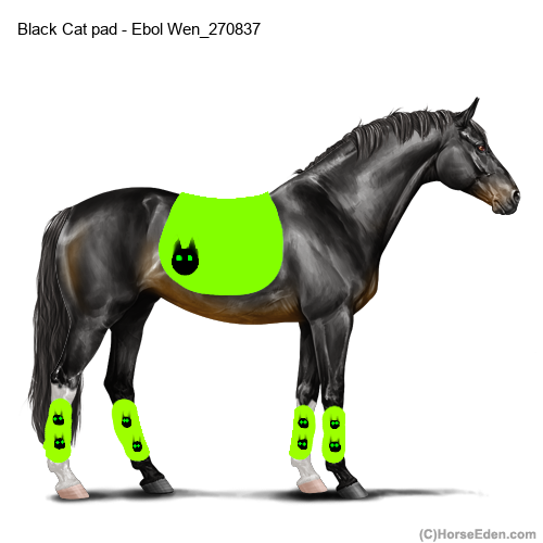 Black-Cat-set.png
