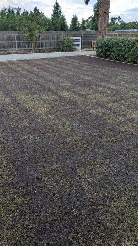 PXL_20220919_005129203